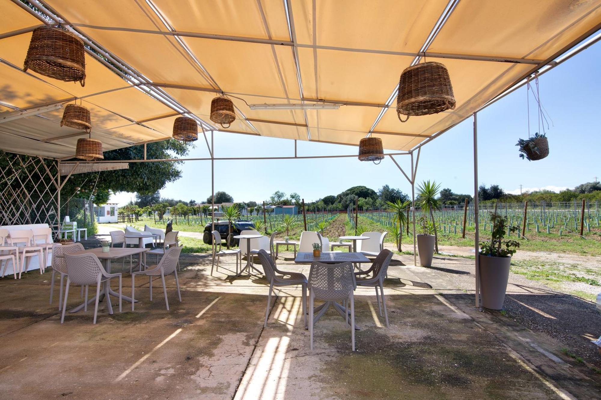 Casa Lavadeira - Vinhas De Nexe Villa Фаро Екстериор снимка